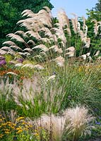 Perennial mix with ornamental grasses