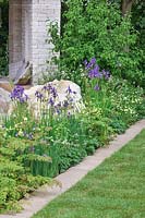 Perennial planting with Iris