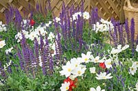 Planting with perennals and annuals