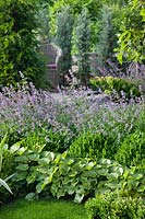 Perennial garden with Pulmonaria, Iris, Nepeta