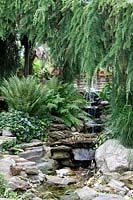 pond with natural stone and fern