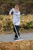 Boy is raking fall leaves