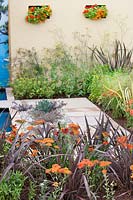 Modern garden design with perennials and succulents