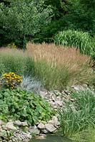Pond with perennials and Calamagrostis sp.