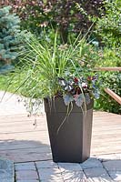 Plant container with perennial and ornamental grasses