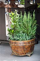 Plant container with Laurus nobilis, Rosmarinus, Ocimum basilicum Pesto Perpetuo, Lavandula
