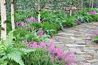 Natural stone walk way with heathland plants, ferns and birch trees