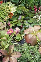 Perennials garden and pond with aquatic plants