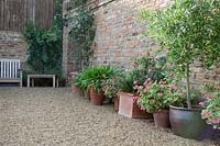 Courtyard with plant container 