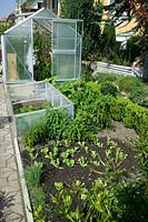 Vegetable garden and greenhouse