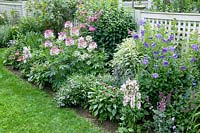 Perennial border with different flowering perennials