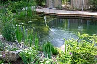 Swimming pond with shrubs, perennials, wooden deck with outdoor shower