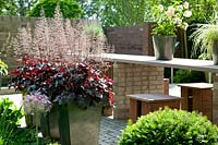 Terrace with Heuchera in plant containers