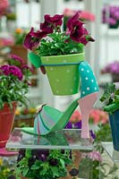 High heeled shoe as flower pot holder with Viola