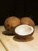 Kokosnuss / Cocos