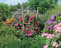 summertime with flowering shrubs and roses
