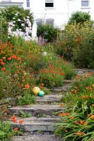 Railway sleeper steps in Coastal seaside garden with wildflowers and annuals, Devon