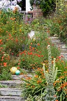 Railway sleeper steps in Coastal seaside garden with wildflowers and annuals, Devon