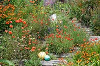 Railway sleeper steps in Coastal seaside garden with wildflowers and annuals, Devon