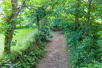 Caervallack, Cornwall, UK. ( McClary/Robinson ) Artists garden in summer, sunken 'green lane'
