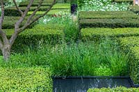 Chelsea Flower Show, 2013. The Daily telegraph Garden ( Christopher Bradley-Hole ), formal hedging