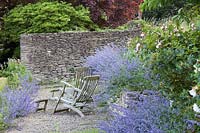 Suellen Dainty's garden in Somerset. Old wooden steamer chairs amidst Nepeta 'Six Hills Giant'