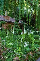 RHS Chelsea Flower Show 2014. The Topiarist Garden at West Green House. Designer Marylyn Abbott, Sponsor Zenith44. Topiary and spires of white flowers ( Foxgloves and Lupins ).  