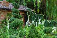 RHS Chelsea Flower Show 2014. The Topiarist Garden at West Green House. Designer Marylyn Abbott, Sponsor Zenith44. Topiary and spires of white flowers ( Foxgloves and Lupins ).  