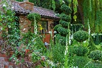 RHS Chelsea Flower Show 2014. The Topiarist Garden at West Green House. Designer Marylyn Abbott, Sponsor Zenith44. Topiary and spires of white flowers ( Foxgloves and Lupins ).  