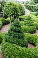 Bourton House Garden, Gloucestershire. Mid summer.  Clipped Box and Yew topiary parterre garden with standard Laurel 'Lollipops'