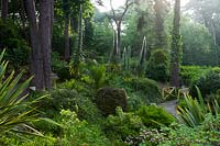 Compton Acres, Dorset, UK. The woodland garden with Echiums