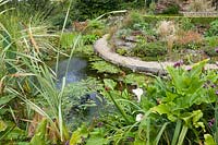 Derry Watkins Garden at Special Plants, Bath, UK well stocked medium sized pond