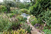 Derry Watkins Garden at Special Plants, Bath, UK. Gravel path leading to medium sized pond