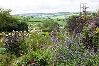 Derry Watkins Garden at Special Plants, Bath, UK. Late summer borders with view across countryside
