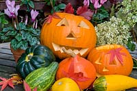 Halloween, Gourds and pumpkins
