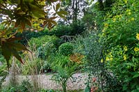 Jackie Healy's garden near Chepstow. Early autumn garden. Acer 'Bloodgood'  and grasses in autumnal woodland garden