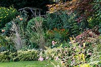 Jackie Healy's garden near Chepstow. Early autumn garden. Acer 'Bloodgood'  and grasses in autumnal woodland garden