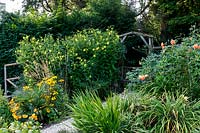 Jackie Healy's garden near Chepstow. Early autumn garden. Rudbeckia, Rosa 'Lady Of Shallot' and Helianthemum 'Lemon Queen' grow around rustic wooden arbour