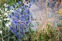 Hampton Court Flower Show, 2017. 'Watch this Space' garden, des. Andy Sturgeon. Eryngium x zabellii 'Big Blue' and grasses next to pond