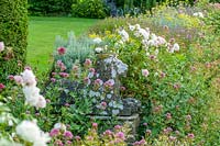 Hodges Barn, Gloucestershire, UK. Summer. Old stone lion statue amongst informal planting along wall