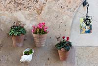 wall mounted pots of colourful annuals n Valdemossa, Mallorca, Spain.