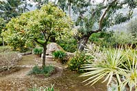 The garden at Robert Graves' house in Deia, Mallorca, Spain