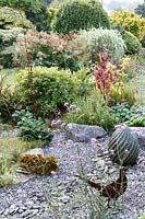 Little Ash Garden, Fenny Bridge, Devon. Autumn garden. Gravel garden with sculpture of pheasant in rusted metal