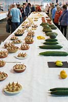 National Amateur Gardening Show 2007, UK. Vegetable growing competition, prize winning