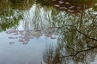 The lake with Lily pads, Spring at RHS Garden Rosemoor, Devon