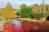 Lady Farm, Somerset, UK. ( Judy Pearce ) large garden in winter. colourful bark providing winter interest