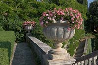 Villa La Foce, Tuscany, Italy. Large garden with topiary clipped Box hedging and views across the Tuscan countryside. Urn planted with pink Pelargonium