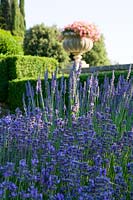 Villa La Foce, Tuscany, Italy. Large garden with topiary clipped Box hedging and views across the Tuscan countryside, Lavender in summer border