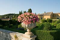 Villa La Foce, Tuscany, Italy. Large garden with topiary clipped Box hedging and views across the Tuscan countryside, urn planted with pink Pelargonium