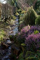 Sherborne Garden, Litton, Somerset ( Southwell ). Early spring garden with stream.